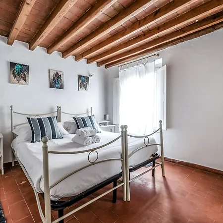 Apartment Hoslty-suite L'arancio-enjoy The Historical Center Pisa